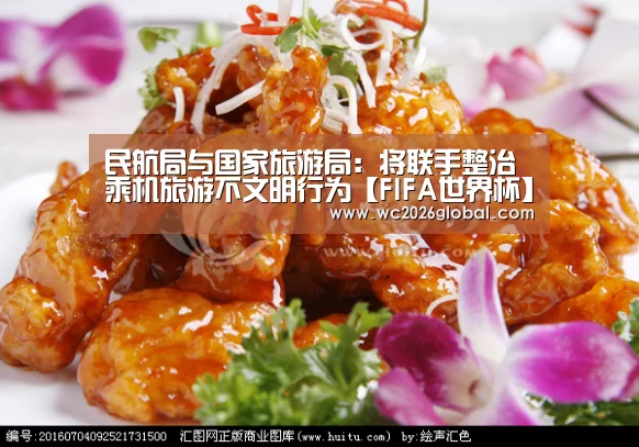 民航局与国家旅游局:将联手整治乘机旅游不文明行为【FIFA世界杯】(图2) 世界杯官网