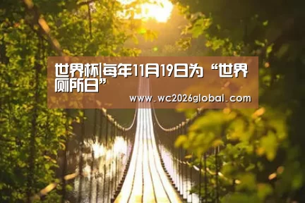 世界杯|每年11月19日为“世界厕所日”