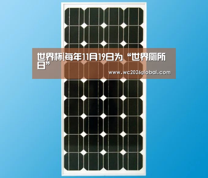 世界杯|每年11月19日为“世界厕所日”(图2) 世界杯官网