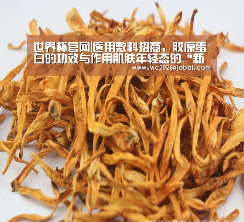 世界杯官网|医用敷料招商，胶原蛋白的功效与作用肌肤年轻态的“