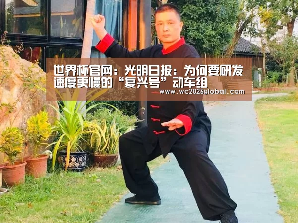 世界杯官网：光明日报：为何要研发速度更慢的“复兴号”动车组